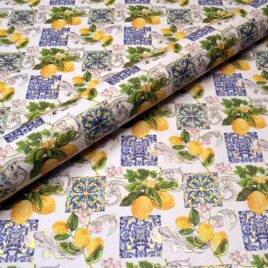 מיץ לימונדה