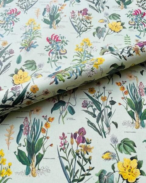 wildflowers