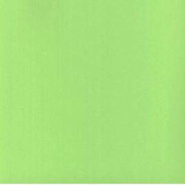 נייר ירוק בהיר 4 יחידות – פיסטוק טקסטורה עור פיל עדין 250 גרם 12X12