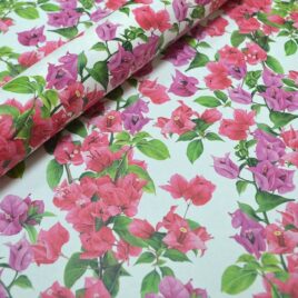 בוגנוויליה