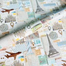 במטוס סילון