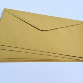 50 מעטפות גוון מרווה מידה 23X5 ס”מ 120 גרם