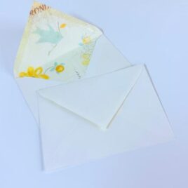 מארז 50 מעטפות 13.5X18.5 חיצוני לבן צד פנימי הדפסה בהירה  ציפור דרור